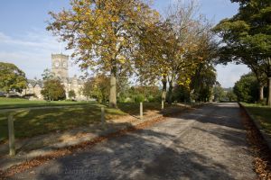 _chevin autumn10.jpg